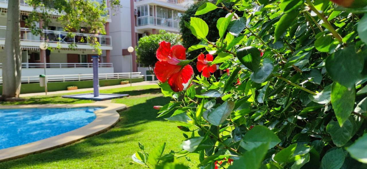 Apartamento Dianium By Denia Costa Eksteriør billede